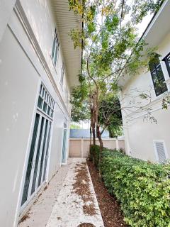 市中心四卧三卫别墅230个平方 - 1