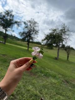 Ili house, home & retreat - 1