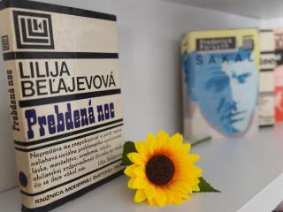 Vila Olivín - Private rooms with bathroom - 3