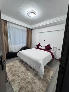 City oasis gardens B1404 - Nairobi - 2