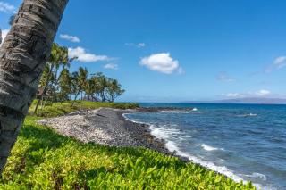 Oceanfront Paradise- A Tropical Palm Retreat - 5