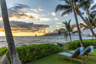 Oceanfront Paradise- A Tropical Palm Retreat - 1