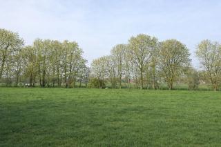 Gîte du Pays Vert - Nature & Jardin clôturé proche de Pairi Daiza - 8