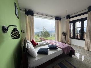 Hill Forest Cottage - 7