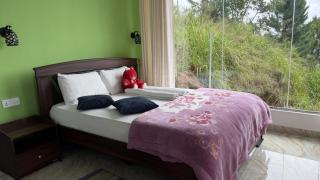 Hill Forest Cottage - 4