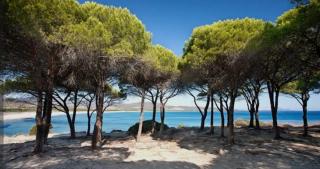 Appartamento Sardegna a due passi dal mare - 6