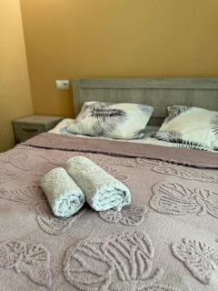 Hotel Snow Forest in Bakuriani - 7