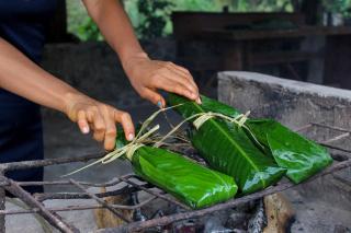 Ingaru Lodge & Reserve - 2