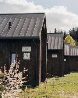 POLANA PIORUN-Domki z widokiem, Beskid Niski - 2