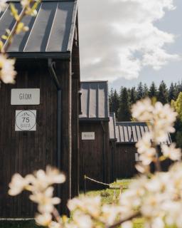 POLANA PIORUN-Domki z widokiem, Beskid Niski - 1