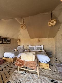 Harmony Desert Luxury Camp - 4