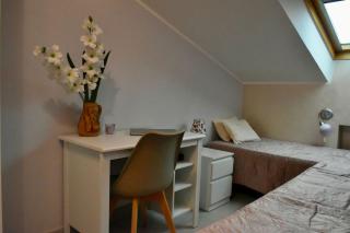 Residence Villa candida - 5