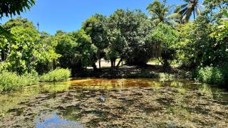 Mango Village Paracuru CE - 1