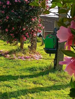 Chalet Abelleira - 9