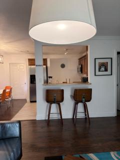 Beautiful House in Downtown Miami - 1