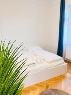 Modern Apartment Close to Subway & Vineyards - 5