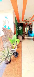 Suite Galarous Island - Puerto Ayora - 1