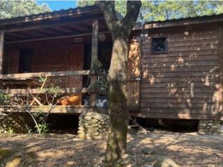 Chalet confortable avec terrasse - 5 pers. - API-1-52-2012 - 4