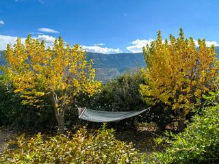 Traditional Bergerie In The Heart Of Niolu - 9