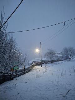 The Sangla Chalet - 8