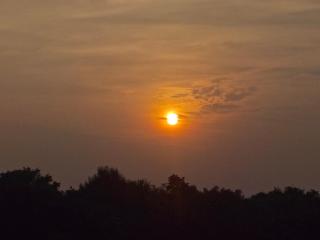 White Forest - PV Hotels - 6