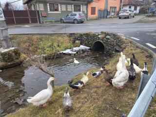 La casa morarului - 9