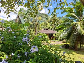 Eco Lodge Village Temanoha - 9