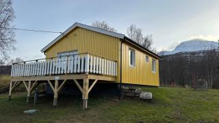 The Yellow House - Nordic Horn -  - 8