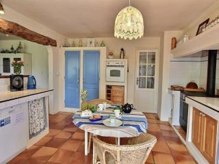 Villa in Salernes with Pool and Scenic Views - Salernes - 1