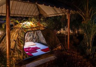 Dandeli Jungle Inn Resort - 0