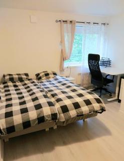 Great and spacious 4-room apartment - 4