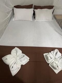 Puravida surf & stay - 4