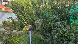 Sri Krishna Apartment - 1
