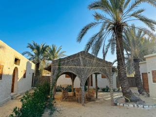 نيو كليوباترا New cleopatra - 0