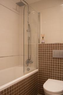 Panorama Apartment with Parking - 9