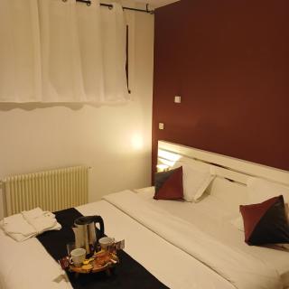 Maison 8 pièces Spa jacuzzi Paris Airport CDG jardin arboré clos - 2