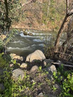 הרמוניה בוטיק - 8