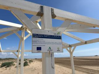 Apartamento en primera línea - 5