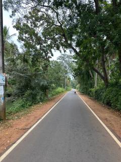 Koratuwa Nature Villa - Yala - 9