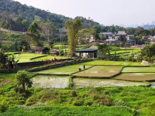 Vietnam Village Homestay - 2