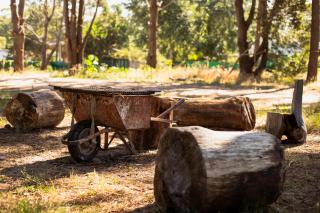 Diez Pinos - Punta del Este - 8