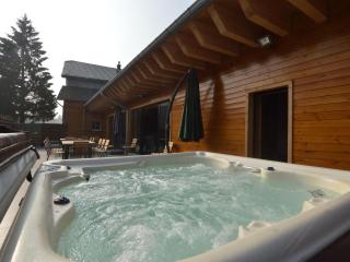 Luscious Holiday Home Pool & Sauna - Robertville - 1