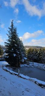 Romantisches Waldhaus mit Privatsauna, Grill und Feuerschtelle - 1