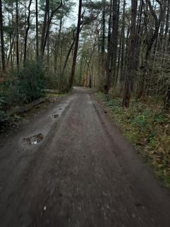 Forst retreat with Sauna - 2