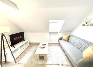 MUEL Apartment DG Business Apartment am Dreiländereck DE,CH,FR - 5