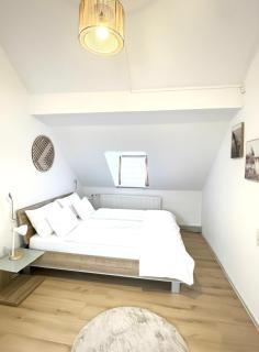 MUEL Apartment DG Business Apartment am Dreiländereck DE,CH,FR - 8