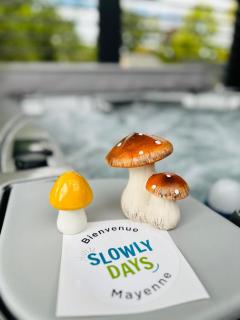 Villa BHD-LODGE & Spa - Harmonie, Luxe et Conscience entre Mayenne et Sarthe - 7