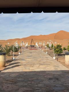 Harmony Desert Luxury Camp - 0