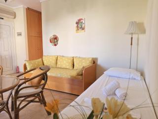 Angelika Beach Front Apartment in Polychrono - 1