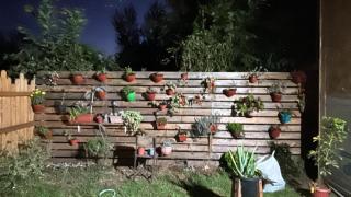 Cabañas Rita Pepita - 2